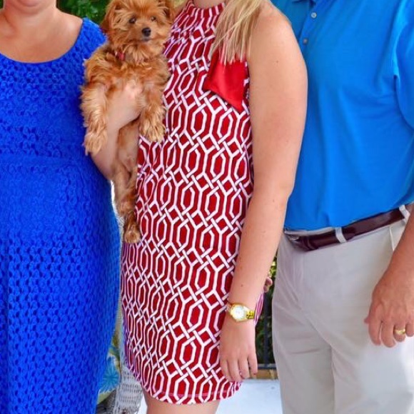 Mud Pie Dresses & Skirts - Crimson and white high neck dress